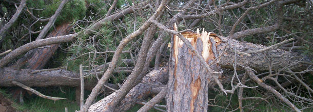 Storm Damage Repair