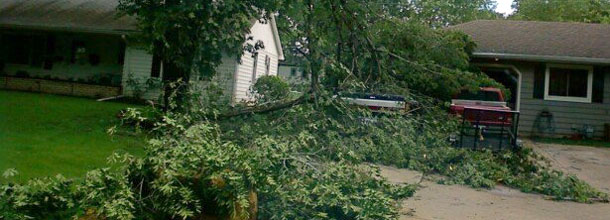 Downed Tree Removal Emergency Service