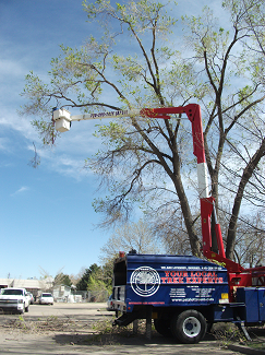 Bucket Truck