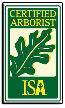 ISA Certified Arborist