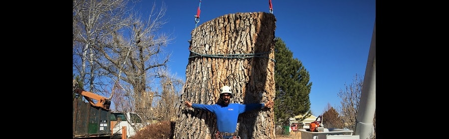 Colorado Fire Mitigation