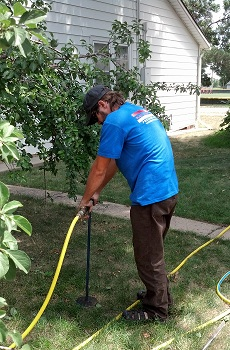 Tree Fertilization Boulder