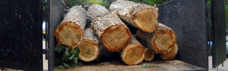 Firewood and Mulch Sales