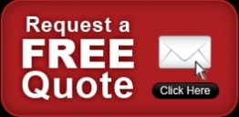 Ash Borer treatment Services